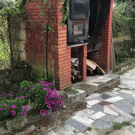 Lucia Holiday home