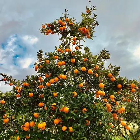 Lucia * SantʼEufemia Lamezia