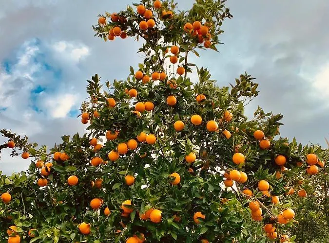 Lucia * SantʼEufemia Lamezia